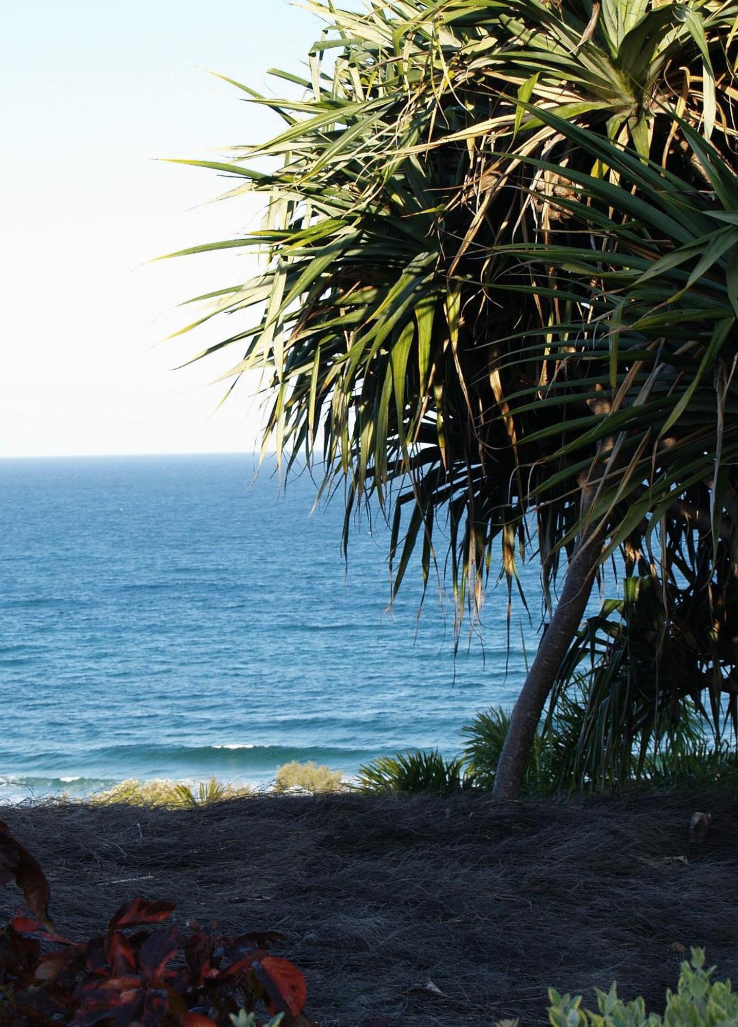 Sunseeker Holiday Apartments Sunshine Beach Exterior foto